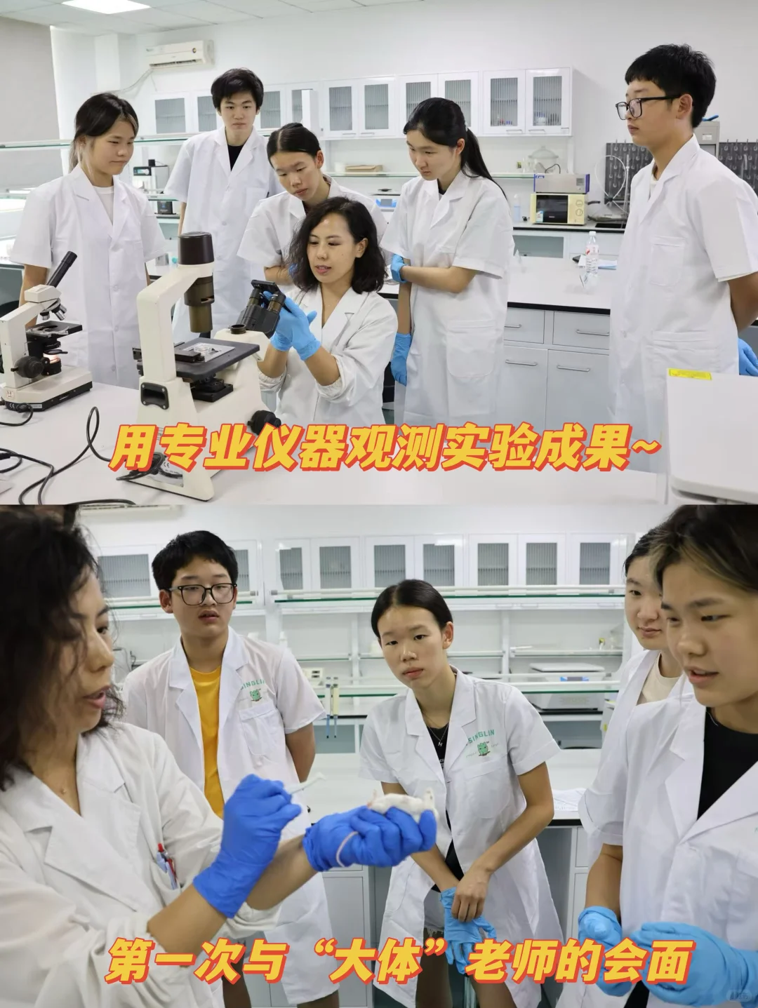 高中生的奇思妙想实验室!病毒是如何入侵?