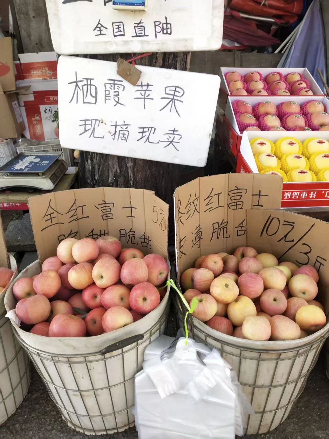 烟台！文化路农贸市场水果店