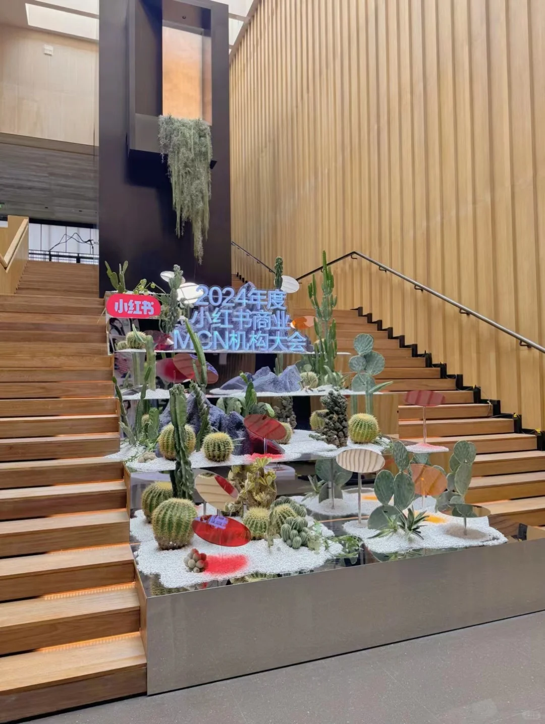 24年公司gmv翻倍,这是一封给自己的创业情书