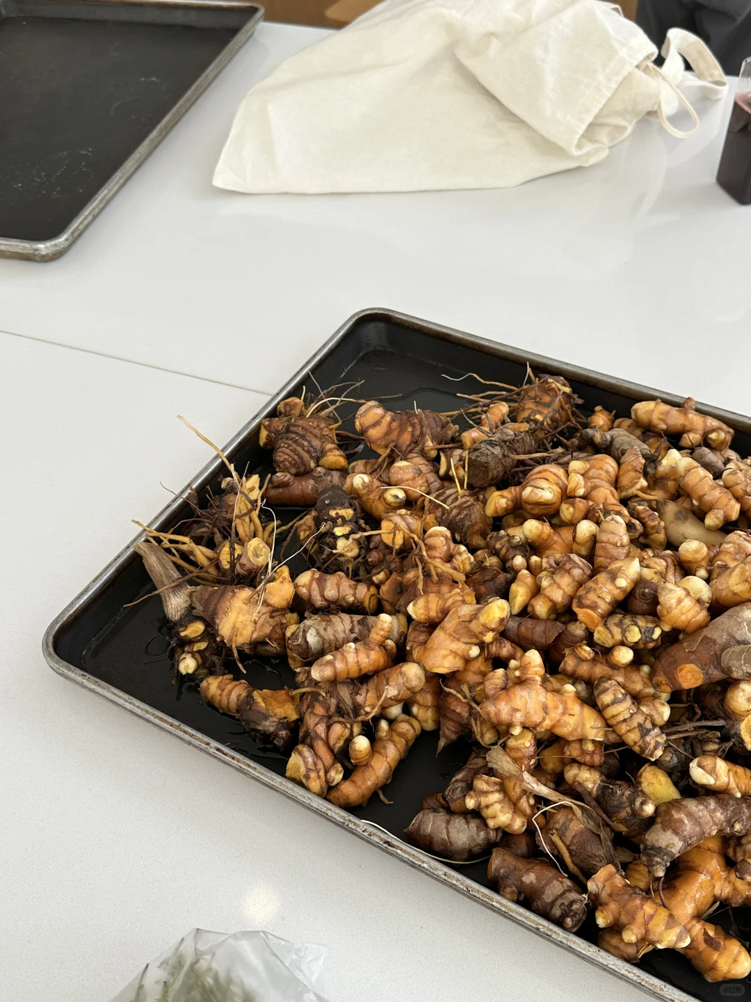 人生第一次种地！是“向往的田园生活了”