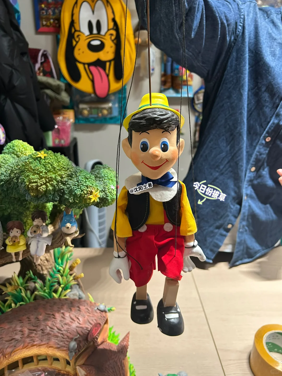 定期拔草之 沈阳这家玩具店全是宝?