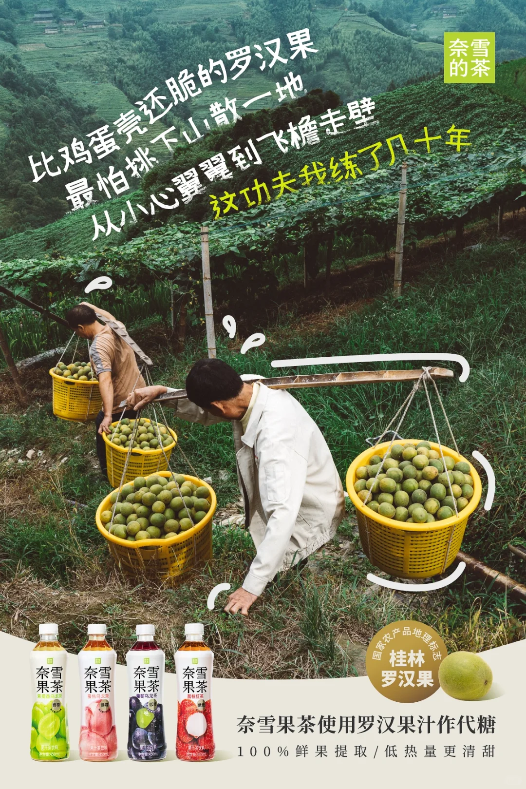 这瓶奈雪果茶,是他们种出来的