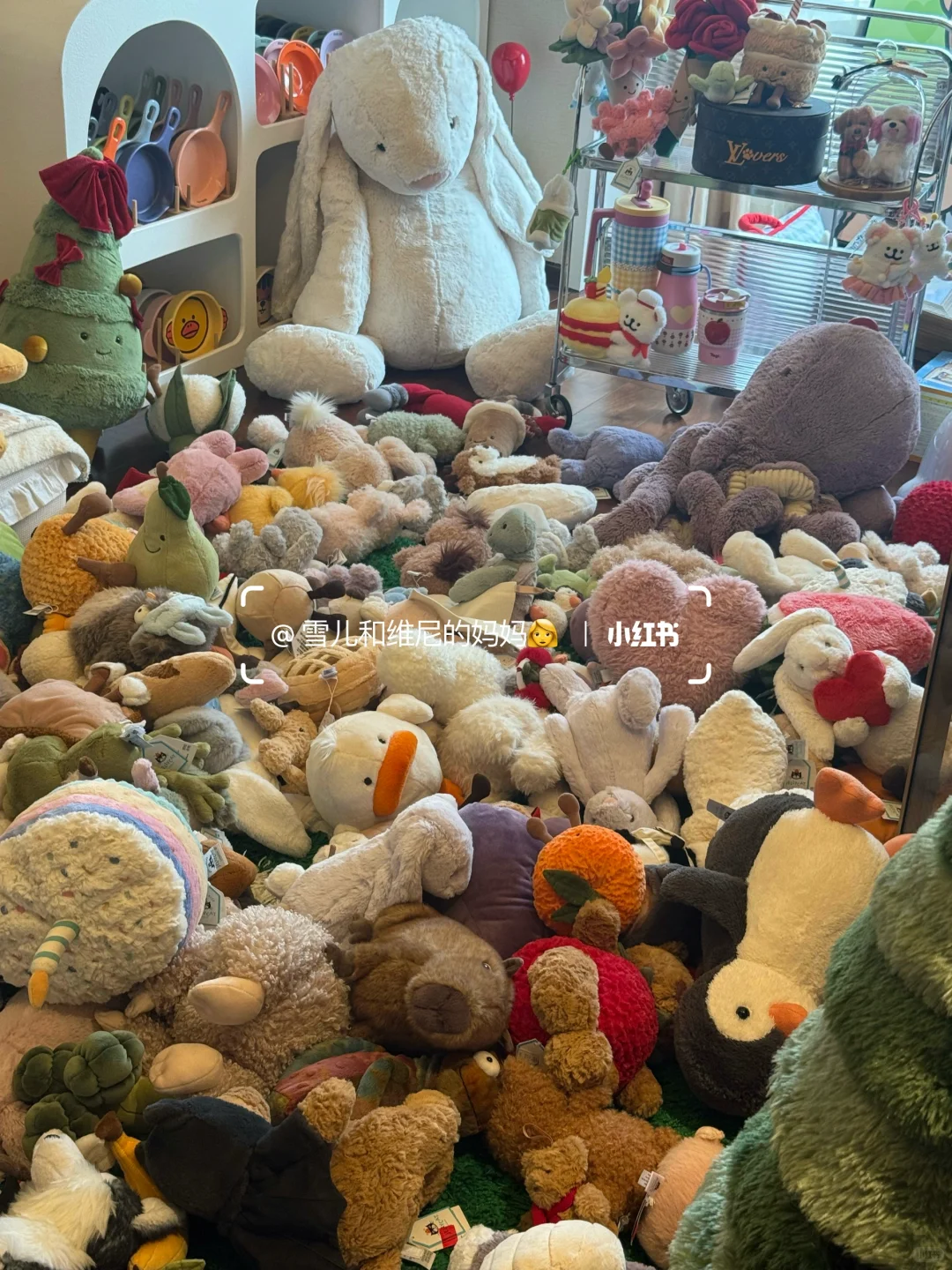 一口气背着家人买了16w的jellycat现状