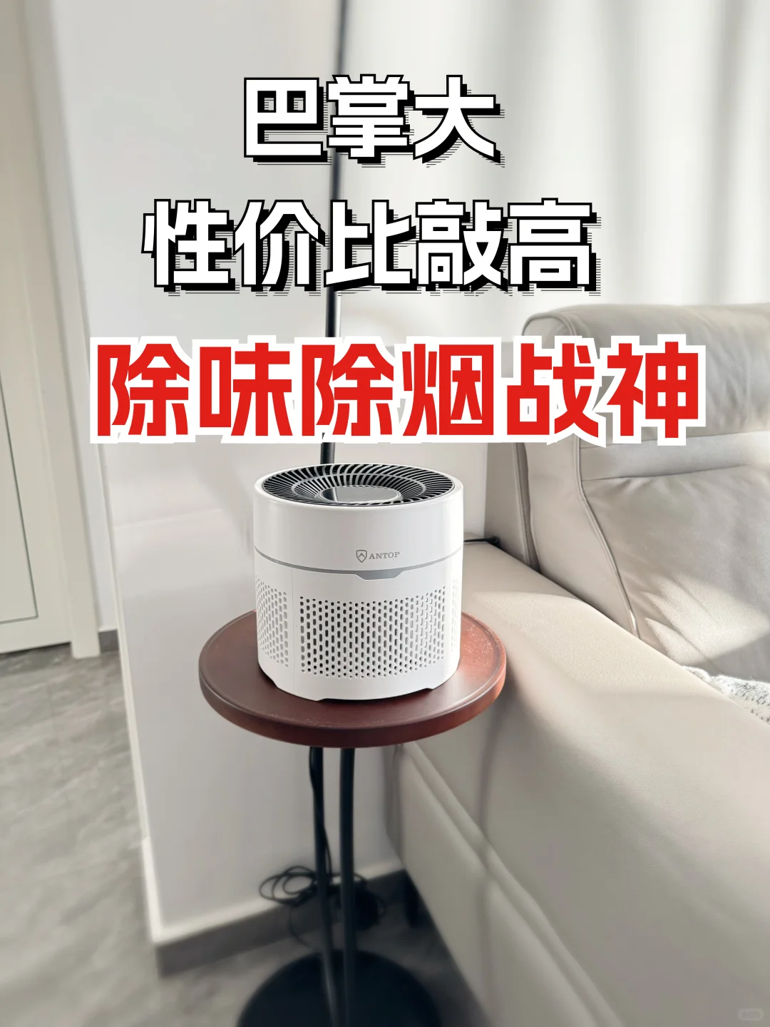 巴掌大的除味除烟战神!狠狠爱了!