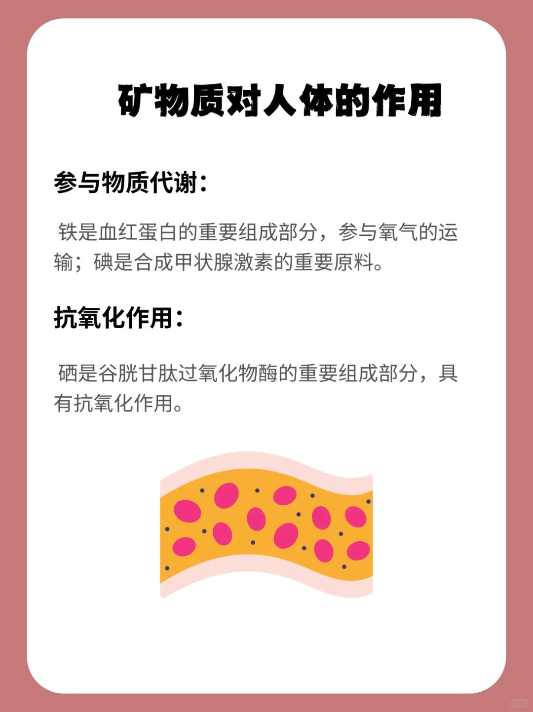 矿物质是什么?含矿物质的食物有哪些?