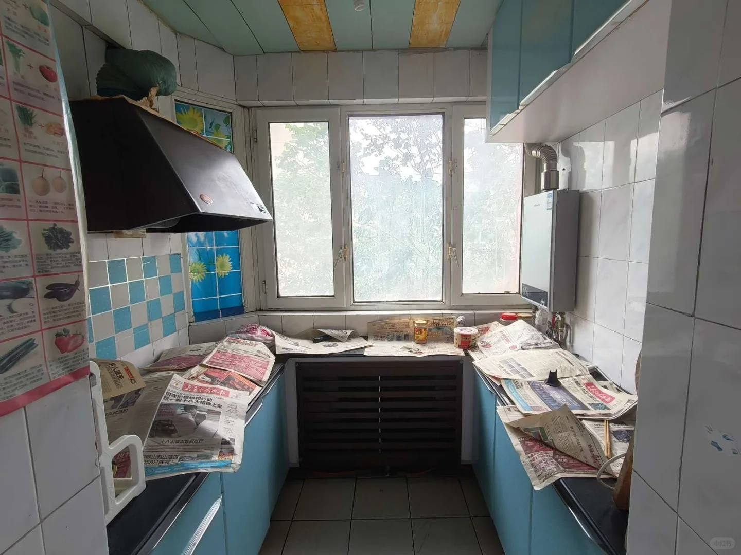 急租新市区植物园三室两厅