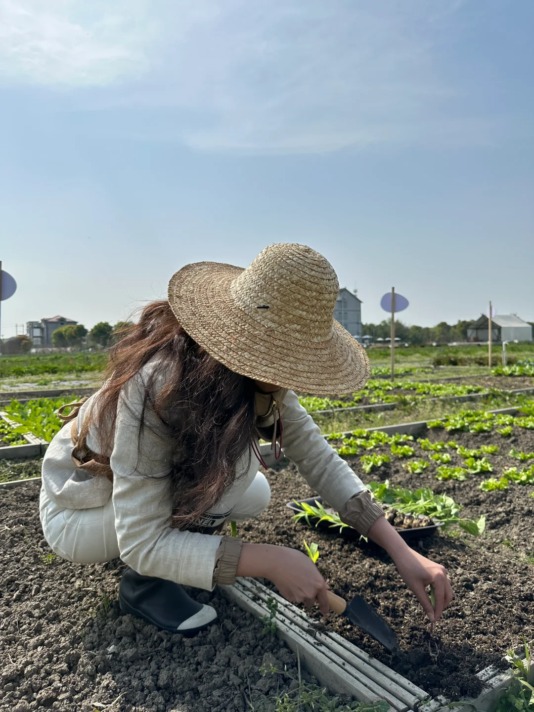 人生第一次种地！是“向往的田园生活了”