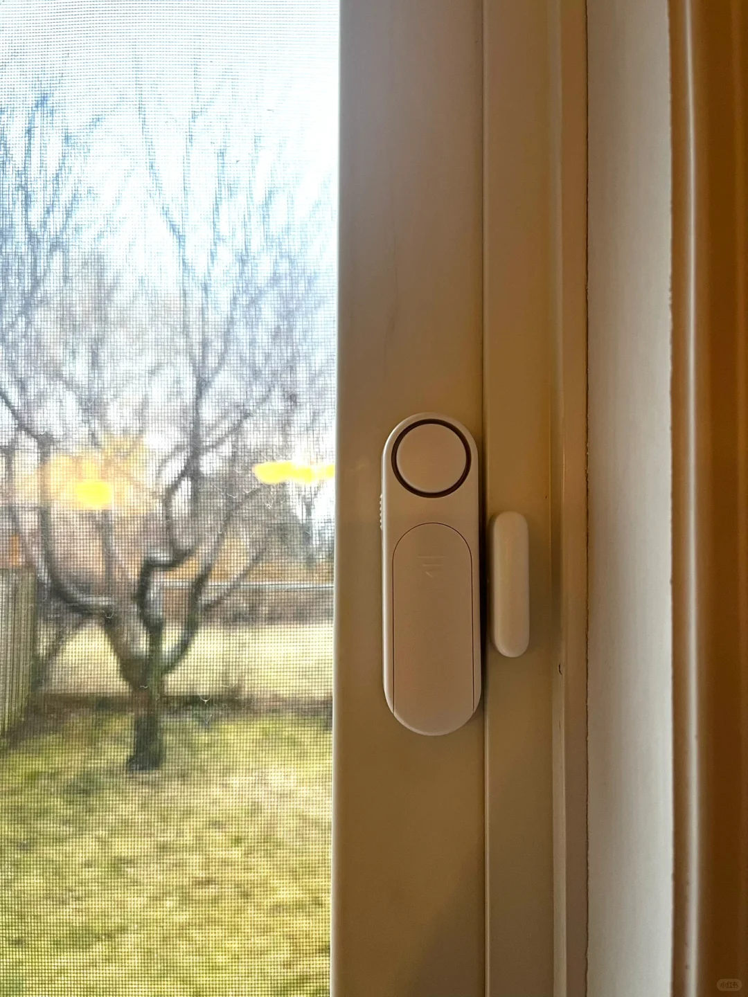 ??推荐3件基础安全防护神器 亚马逊有售