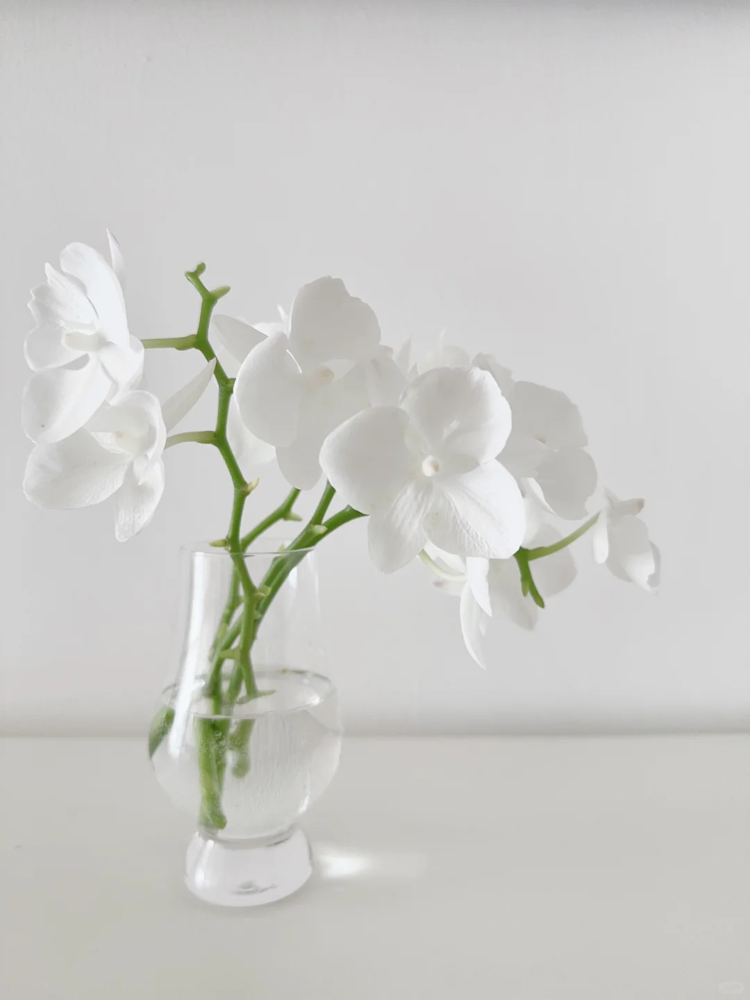 精简少物的家 | 日常整理补货收纳