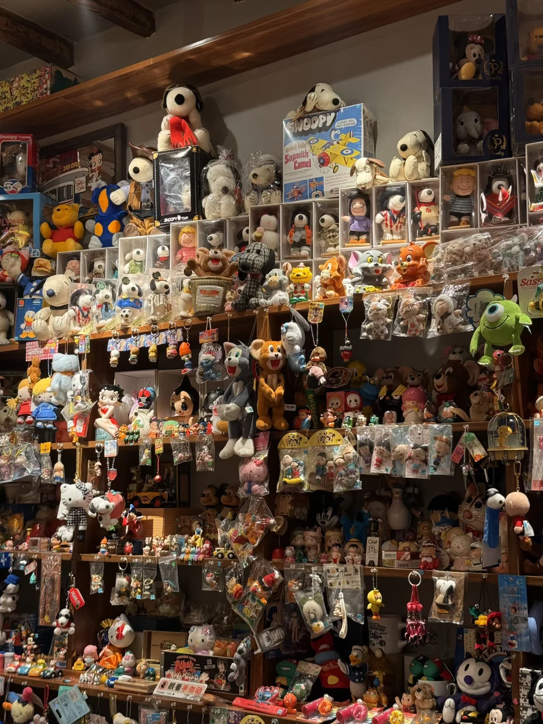 太可爱了 新开的！！上海中古玩具店?！！！！