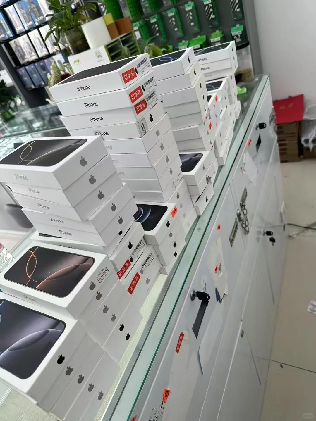 给撸货小白的一条养成路线