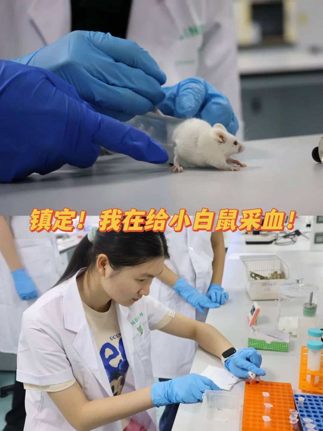 高中生的奇思妙想实验室!病毒是如何入侵?