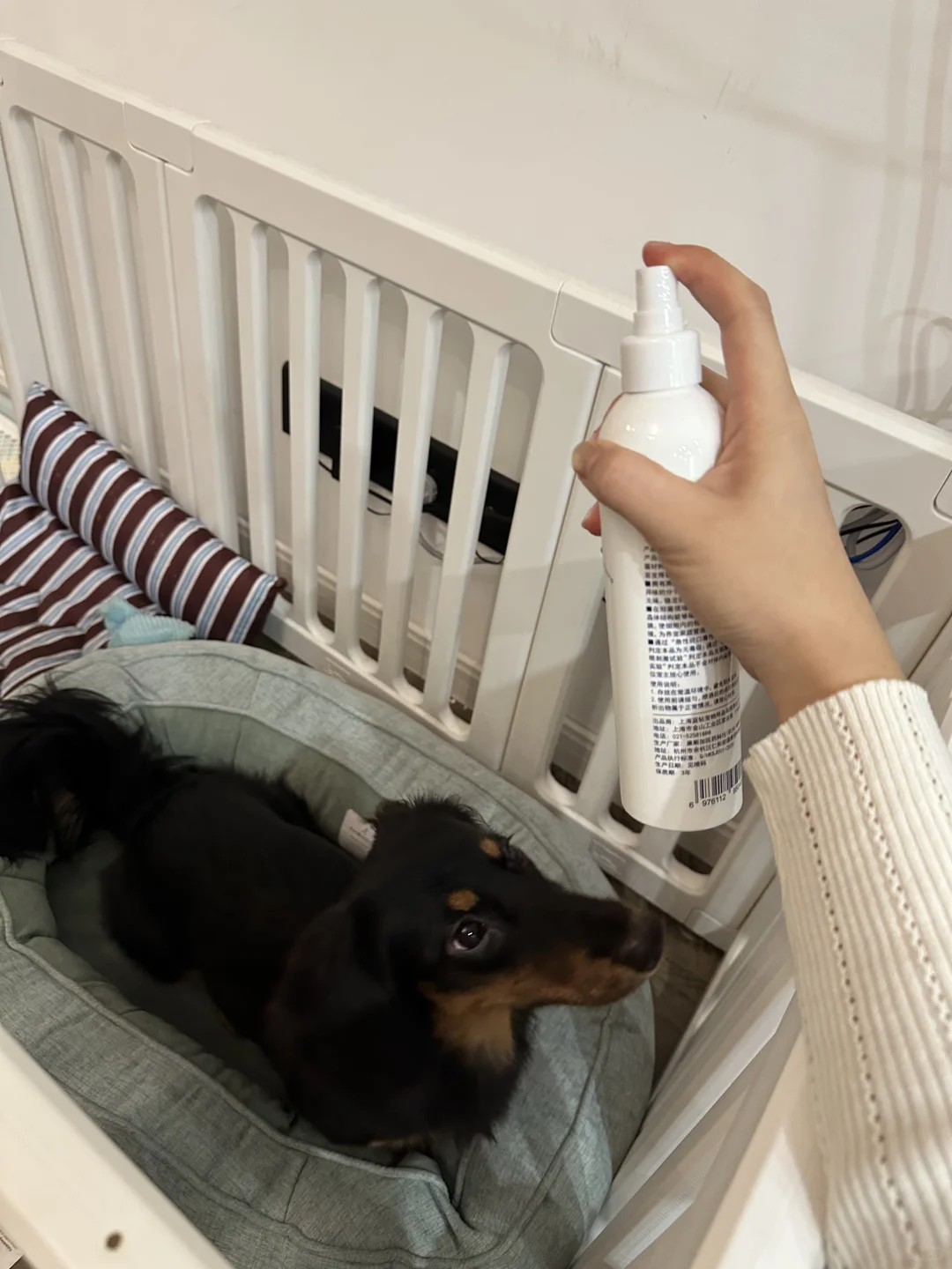 肠肠的环境管理