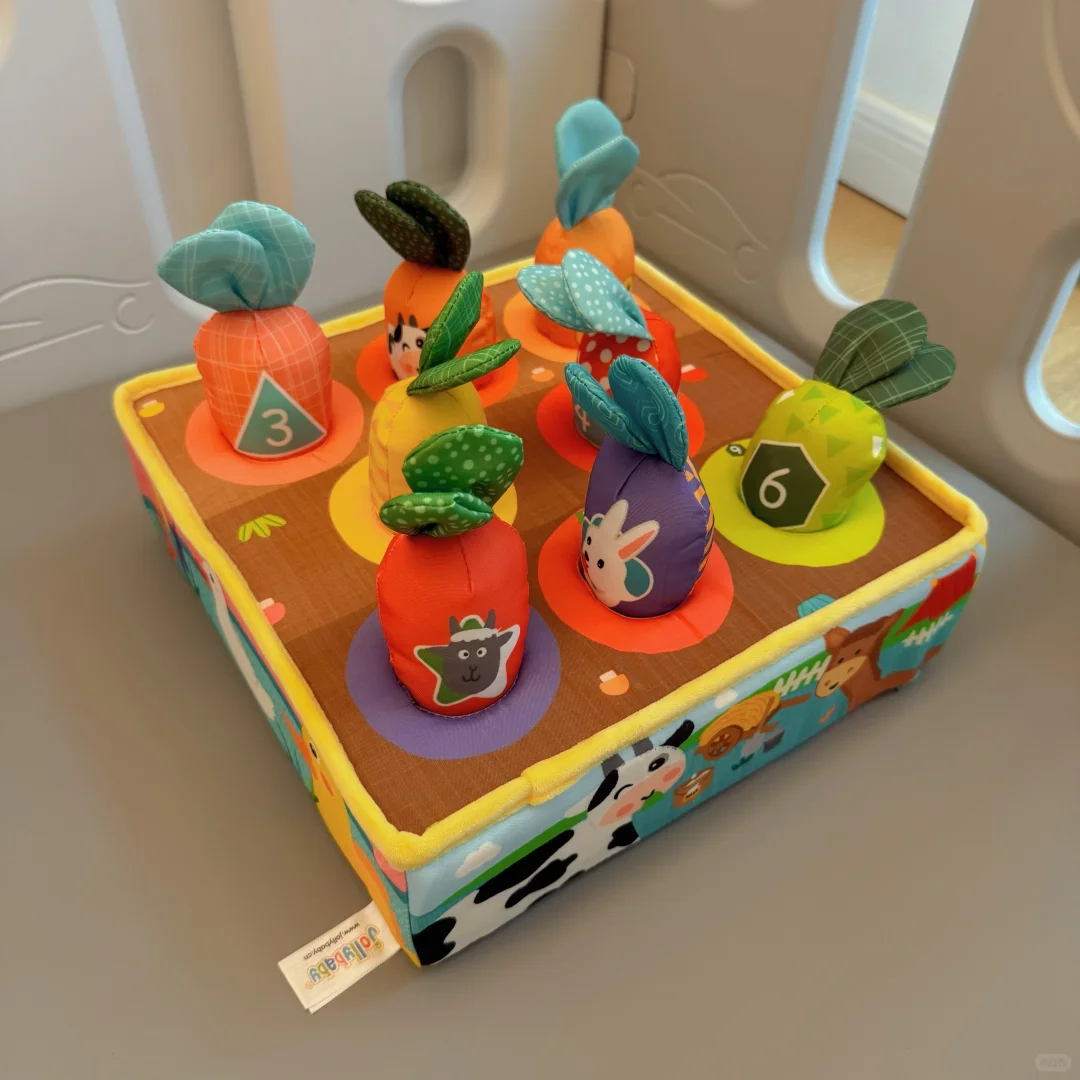 ?share ｜长期主义玩具分享