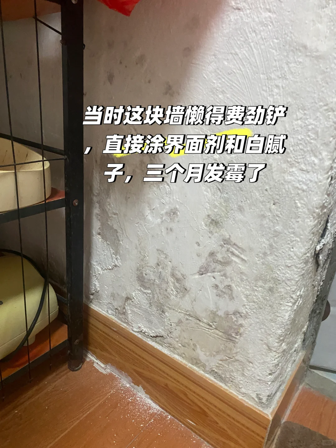 老房子墙皮发霉反碱的补救措施