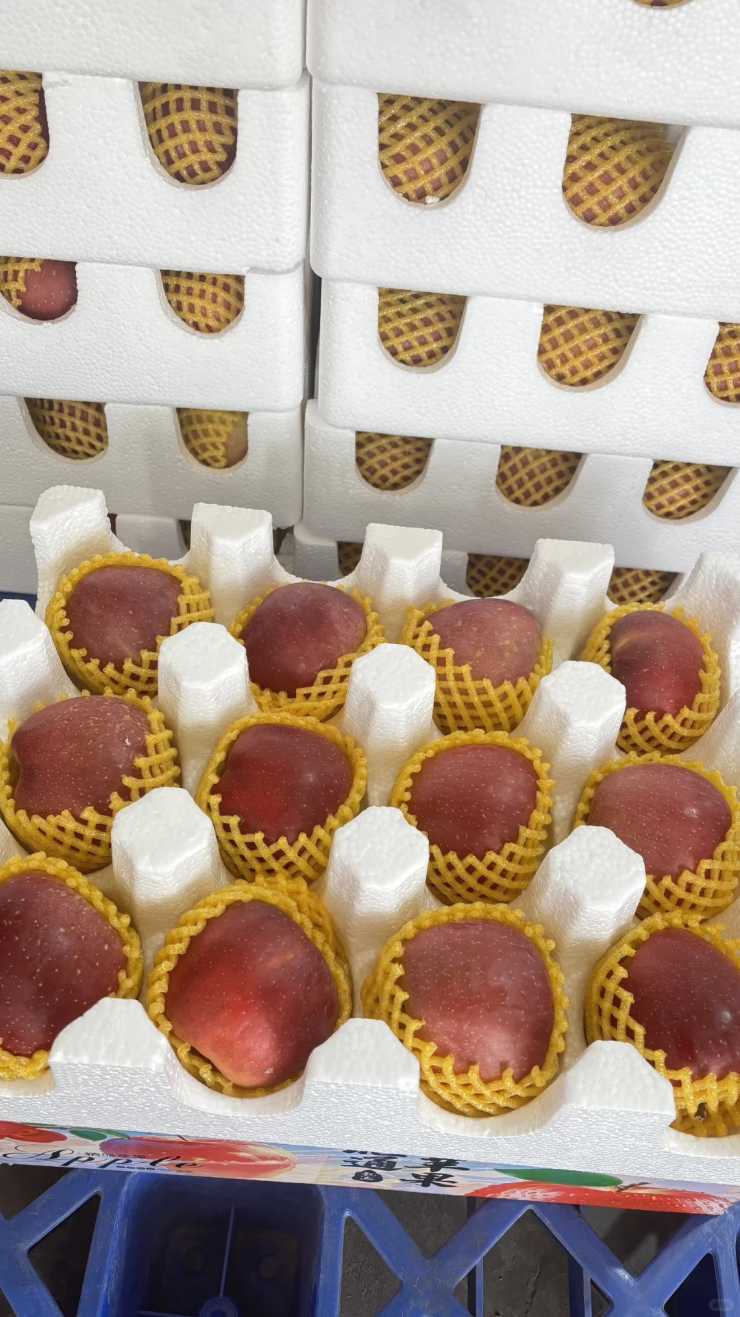 【招募令】昭通“丑苹果”溯源直播达人合作