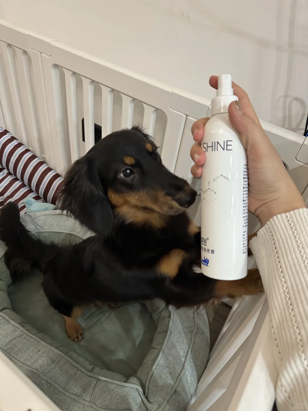 肠肠的环境管理