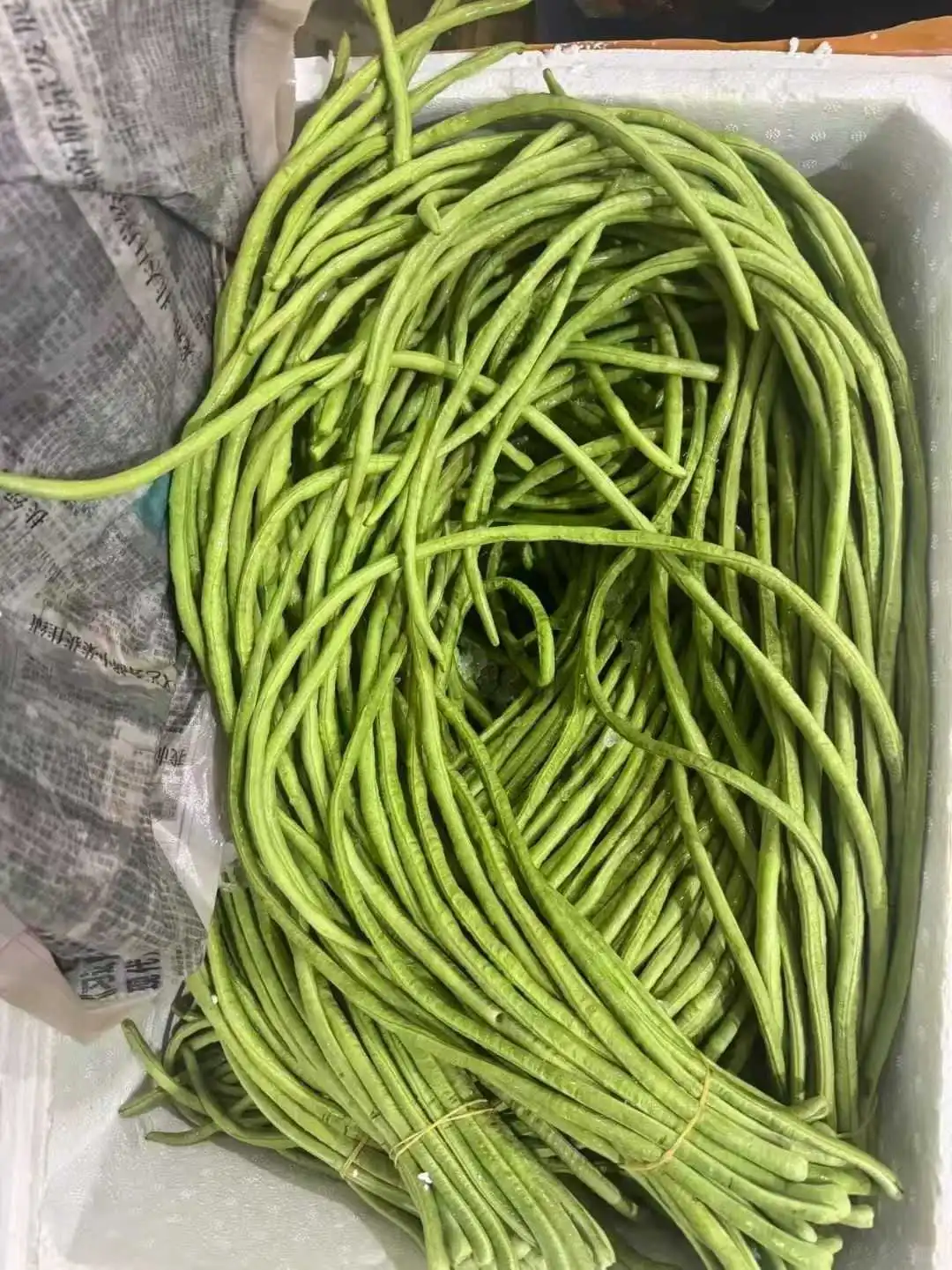 港蔬菜,一條龍??服務 优质客户可月結