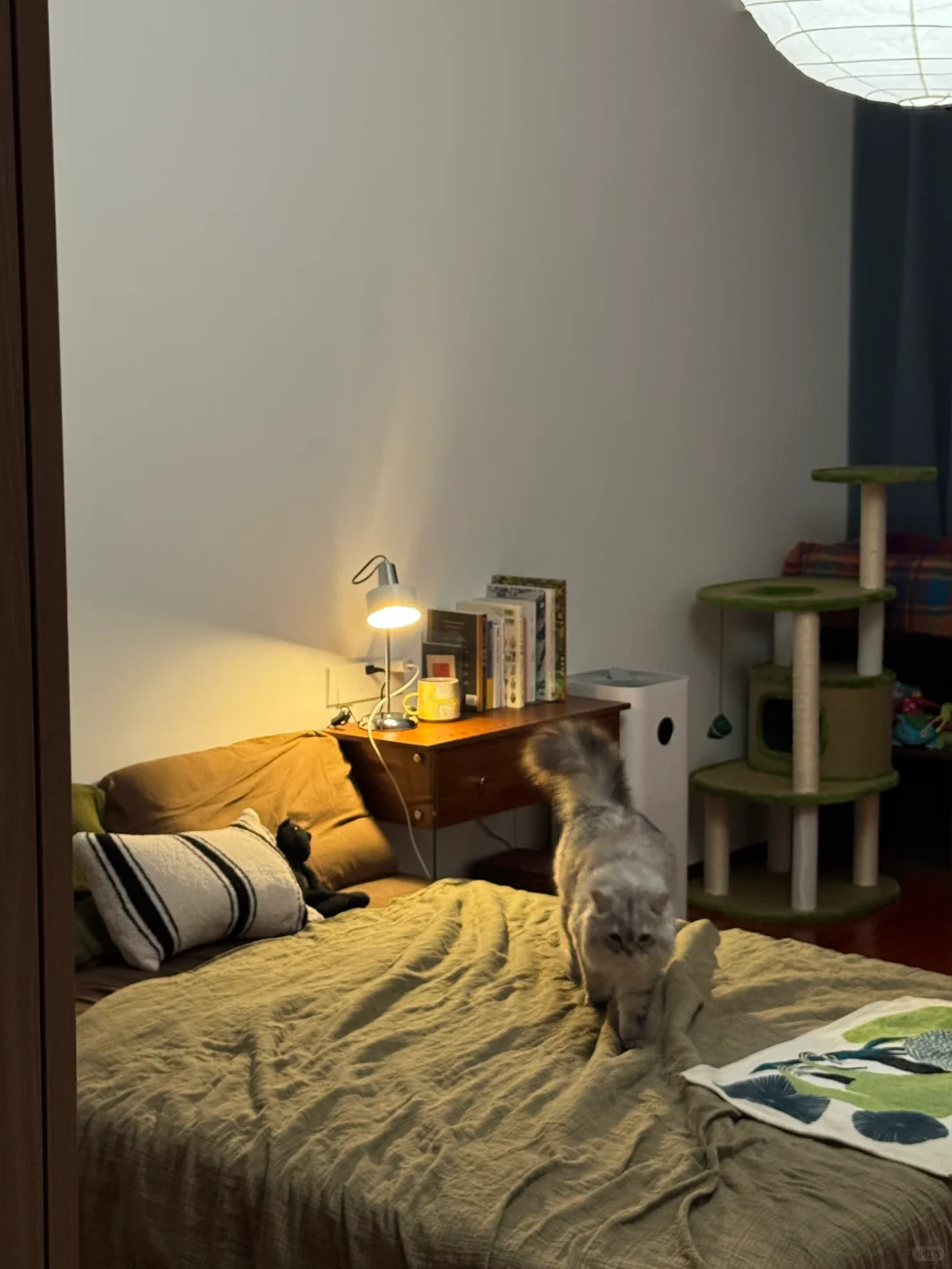 两年景漂结束啦 回嘉兴继续做陶艺工作室：