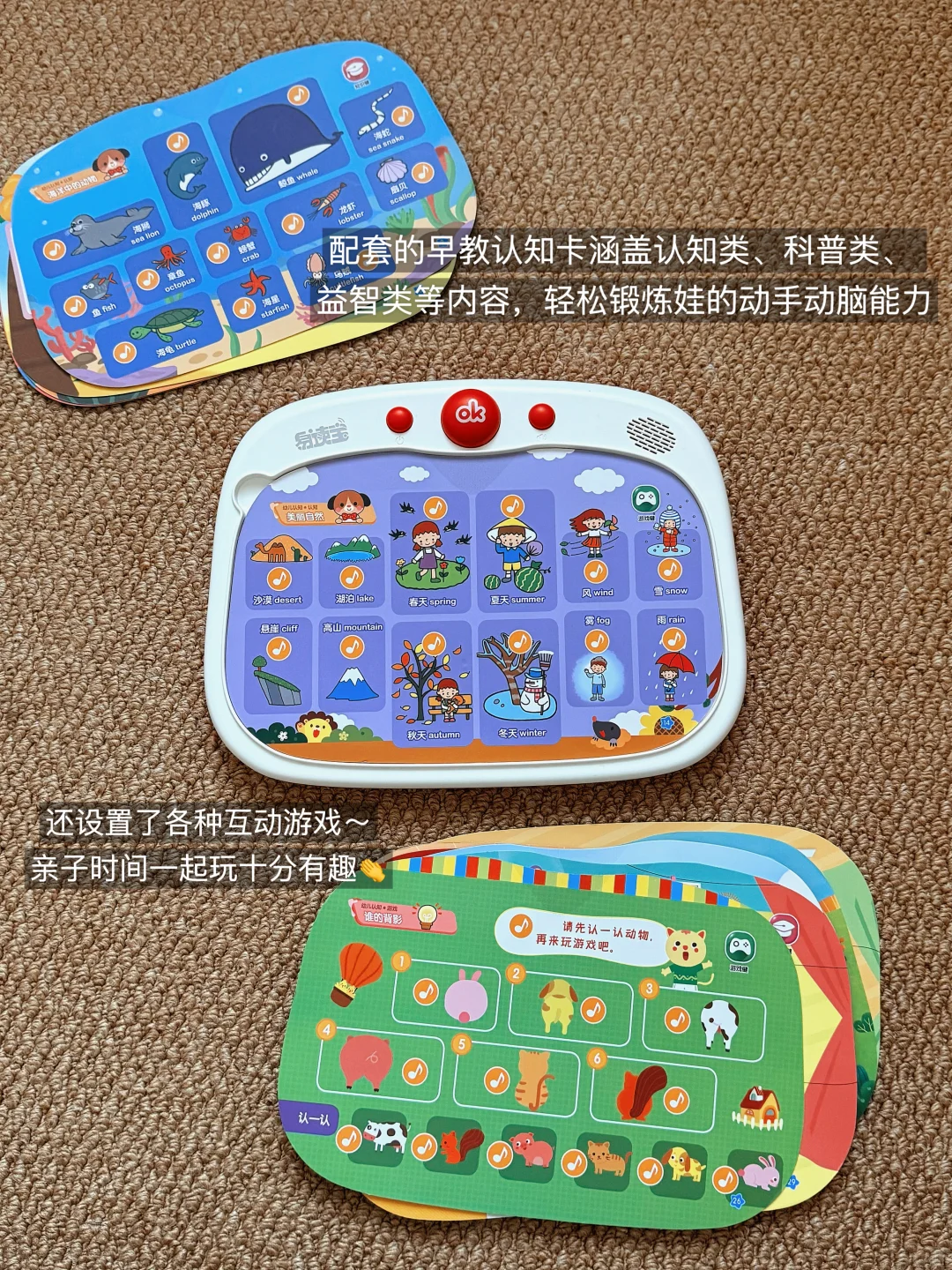 1岁+宝宝宅家玩不腻的玩具们?爱玩不闲置～