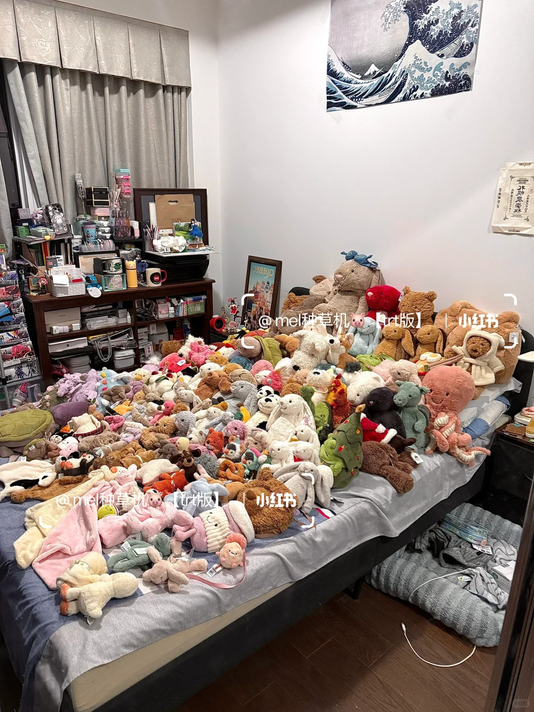 入坑jellycat一年老公买了155只玩偶给我?