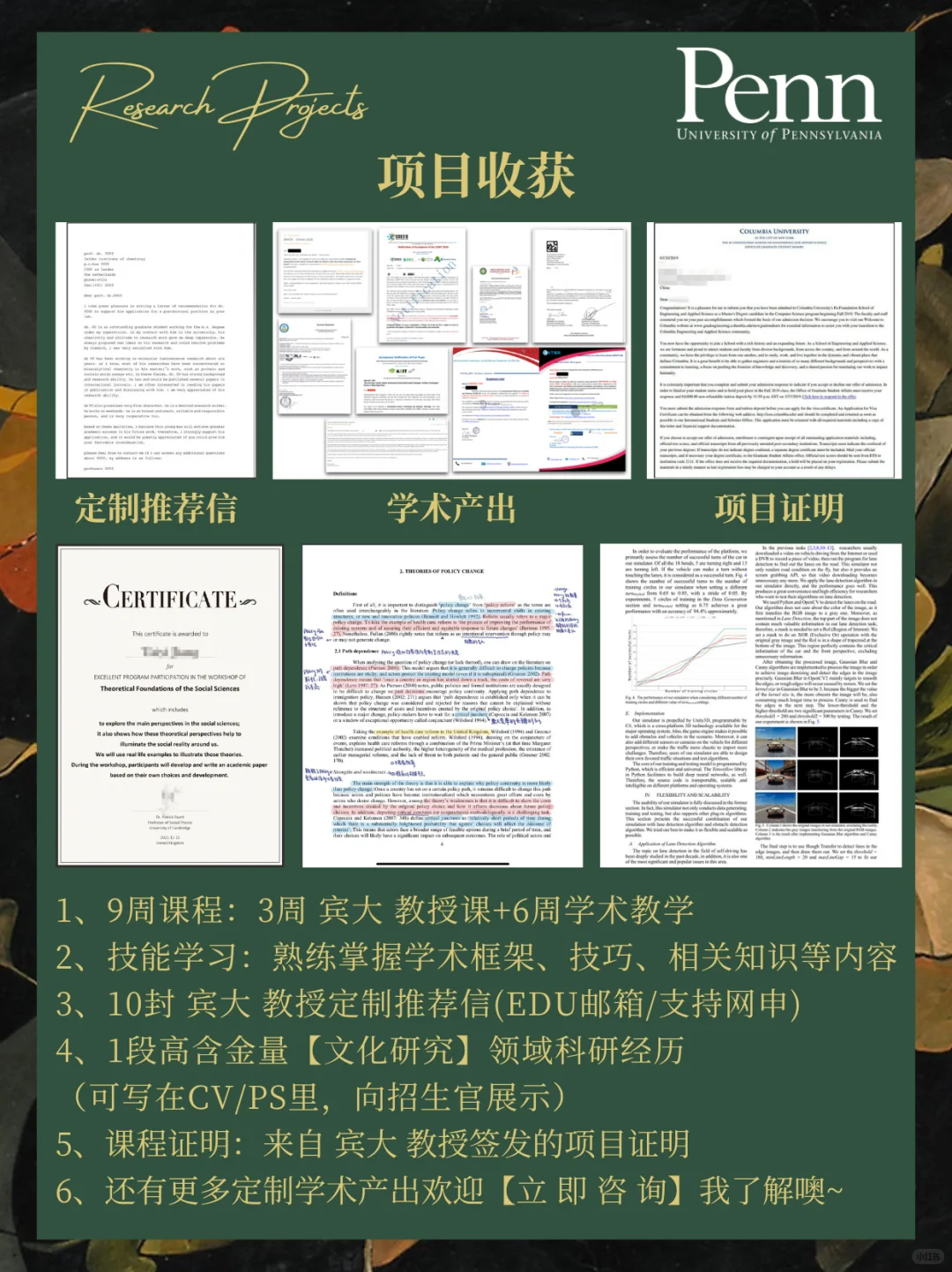 宾大艺术系主任&终身教授【文化研究】科研
