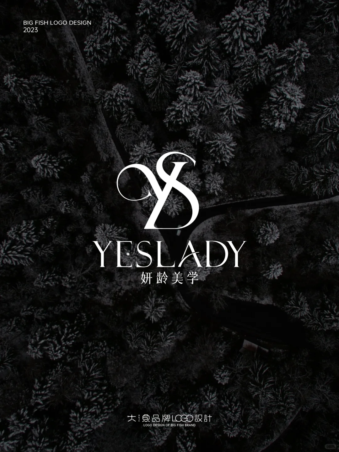 高级感的LOGO让我涨粉过万!