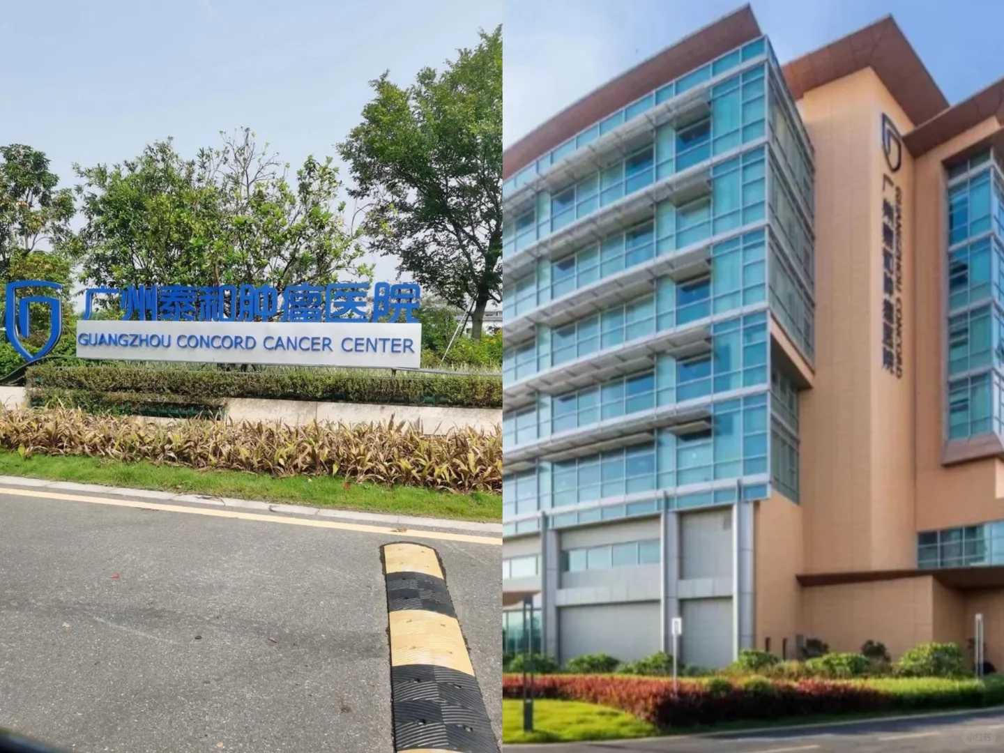 29岁确诊肺癌晚期 质子治疗能不能迎来转机?