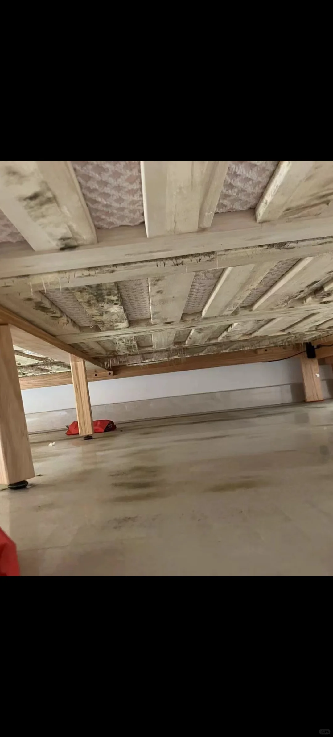 家具板材，床，实木柜体发霉？安全最重要！