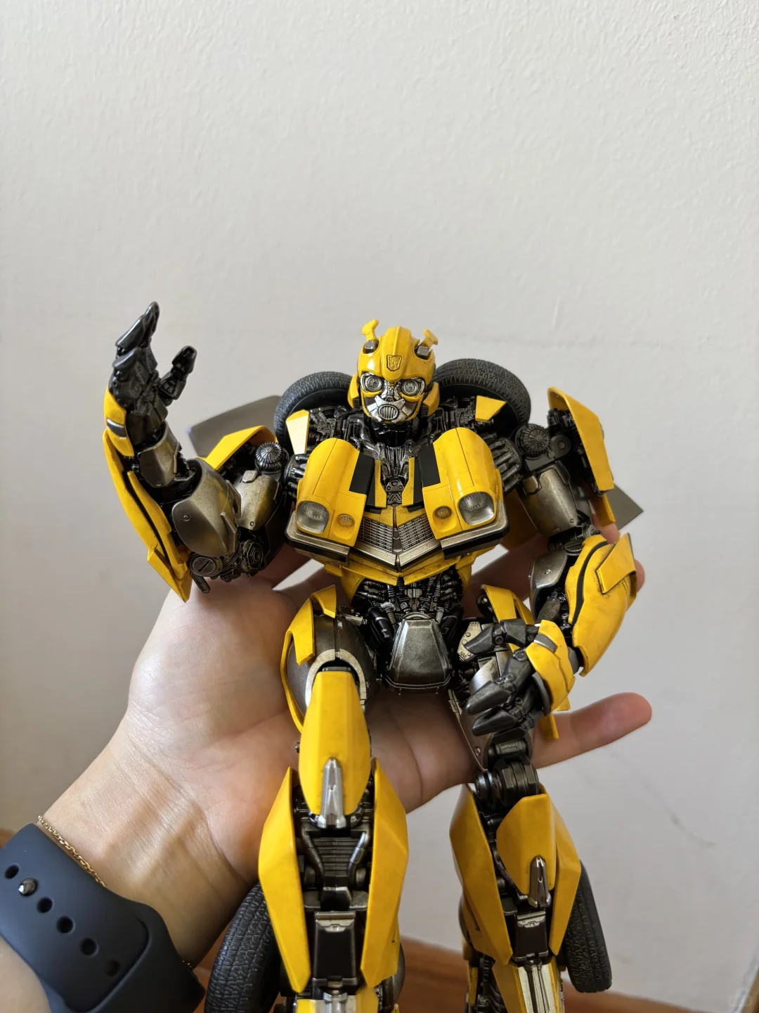 入坑第一只 Bumblebee