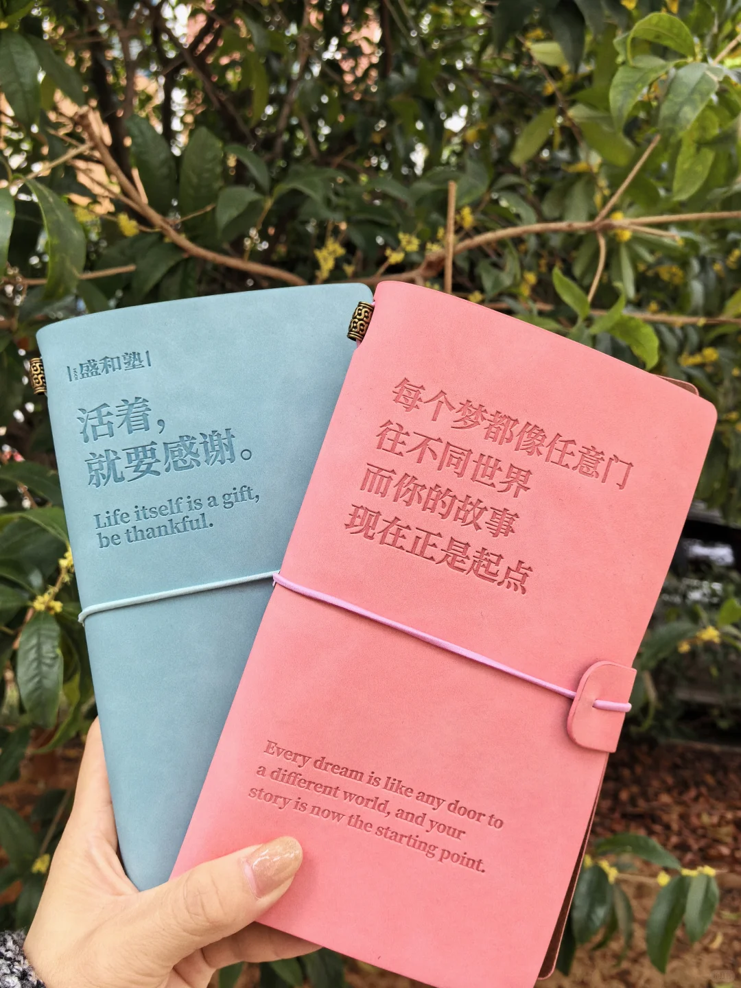 文创公司打工的日子