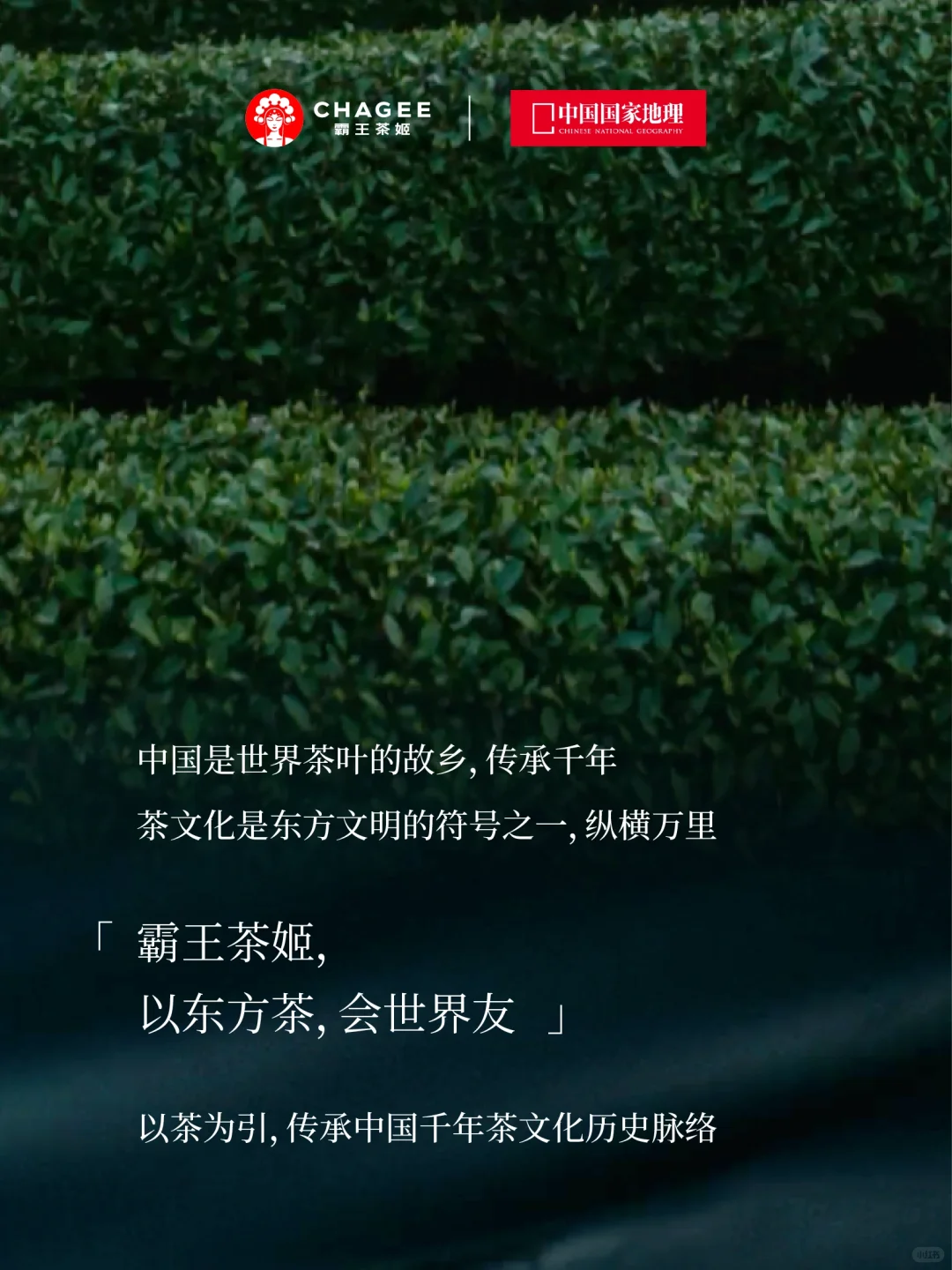 携手中国国家地理,将?zb搬进春山啦!