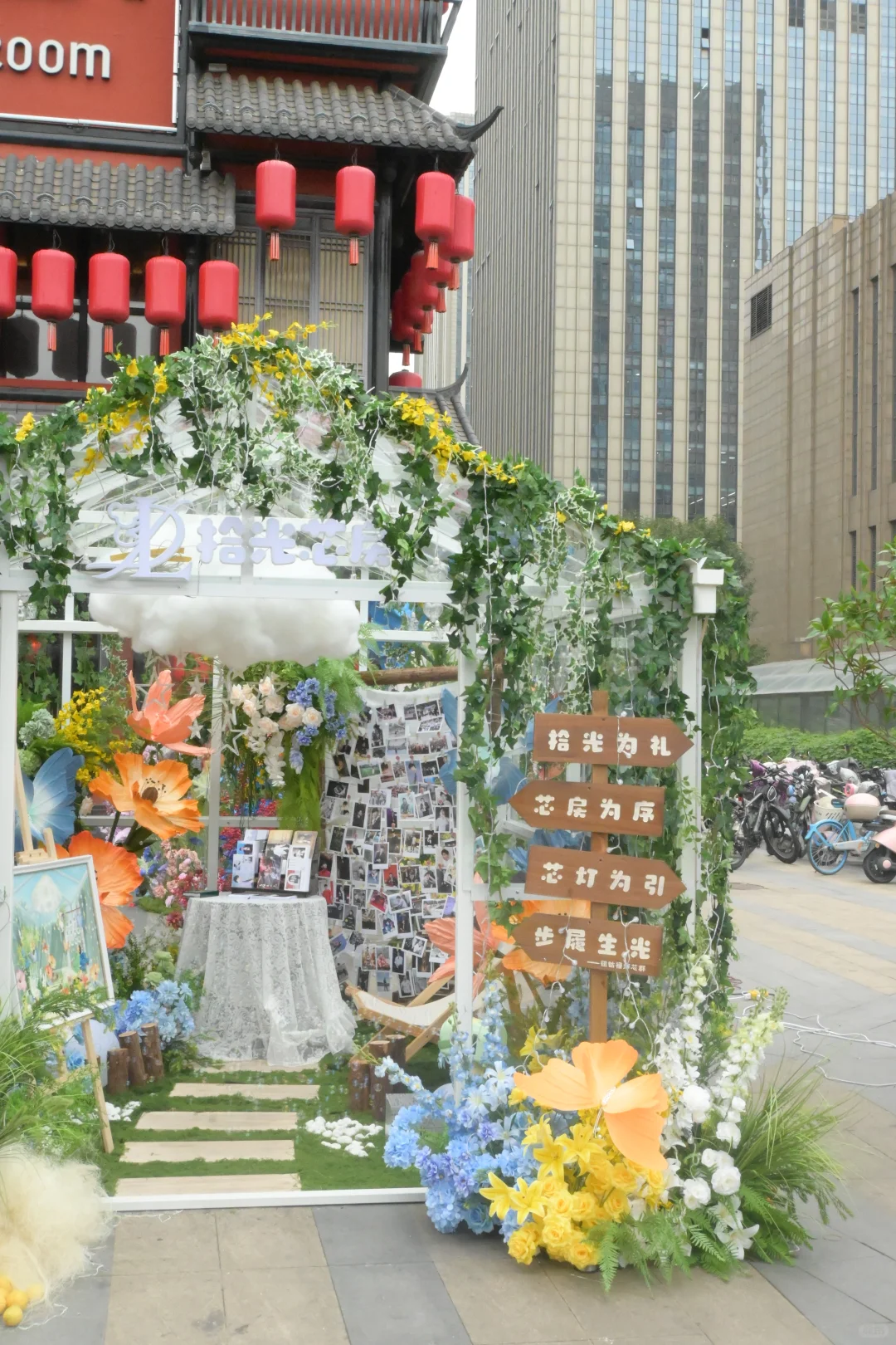 好看说了一万遍！！