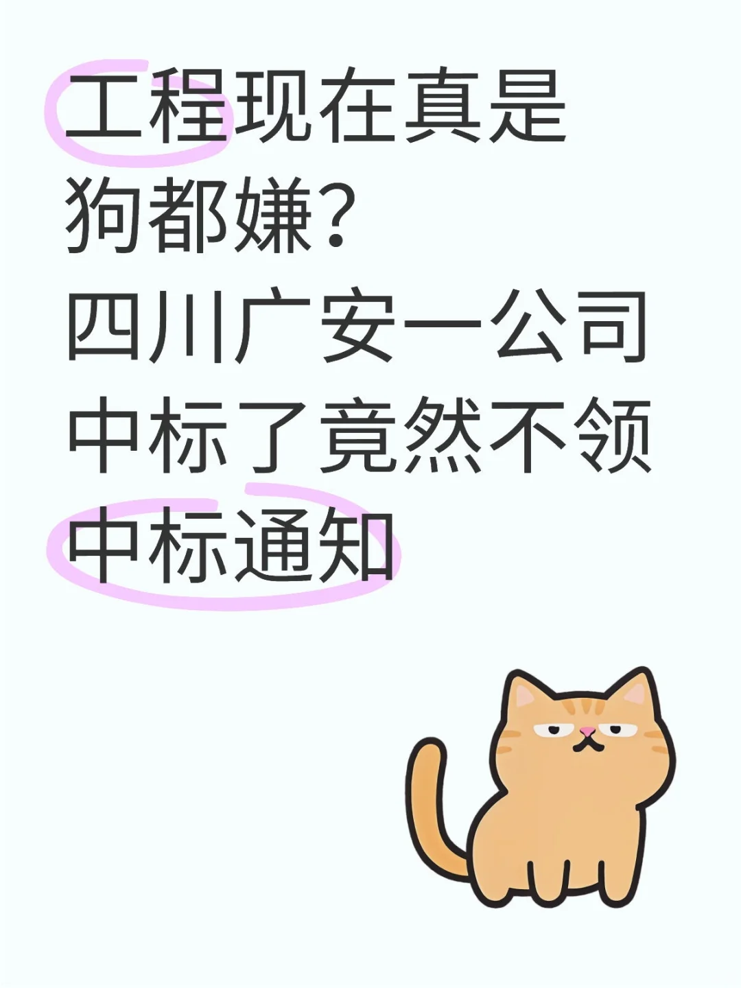 工程现在真是狗都嫌?