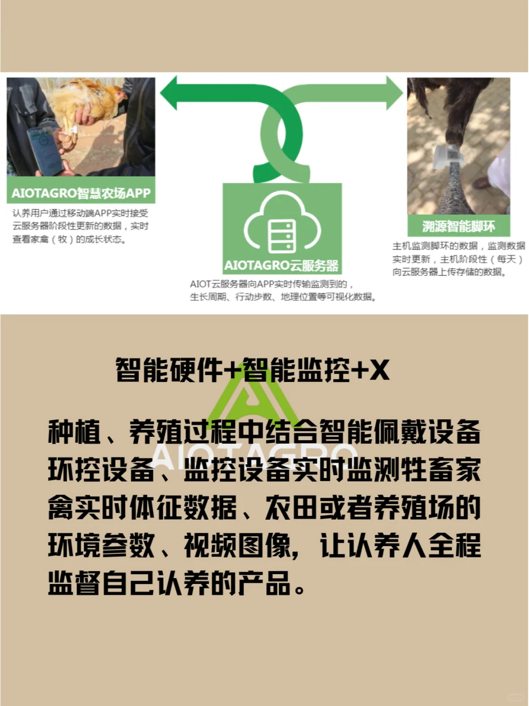 认养一只鸡商业模式|智慧农业发展路径