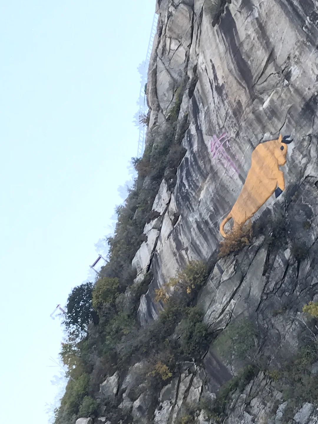 科技休息,老登上台?