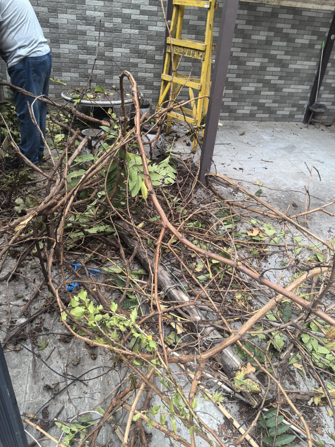 求一个太阳能维修的联系