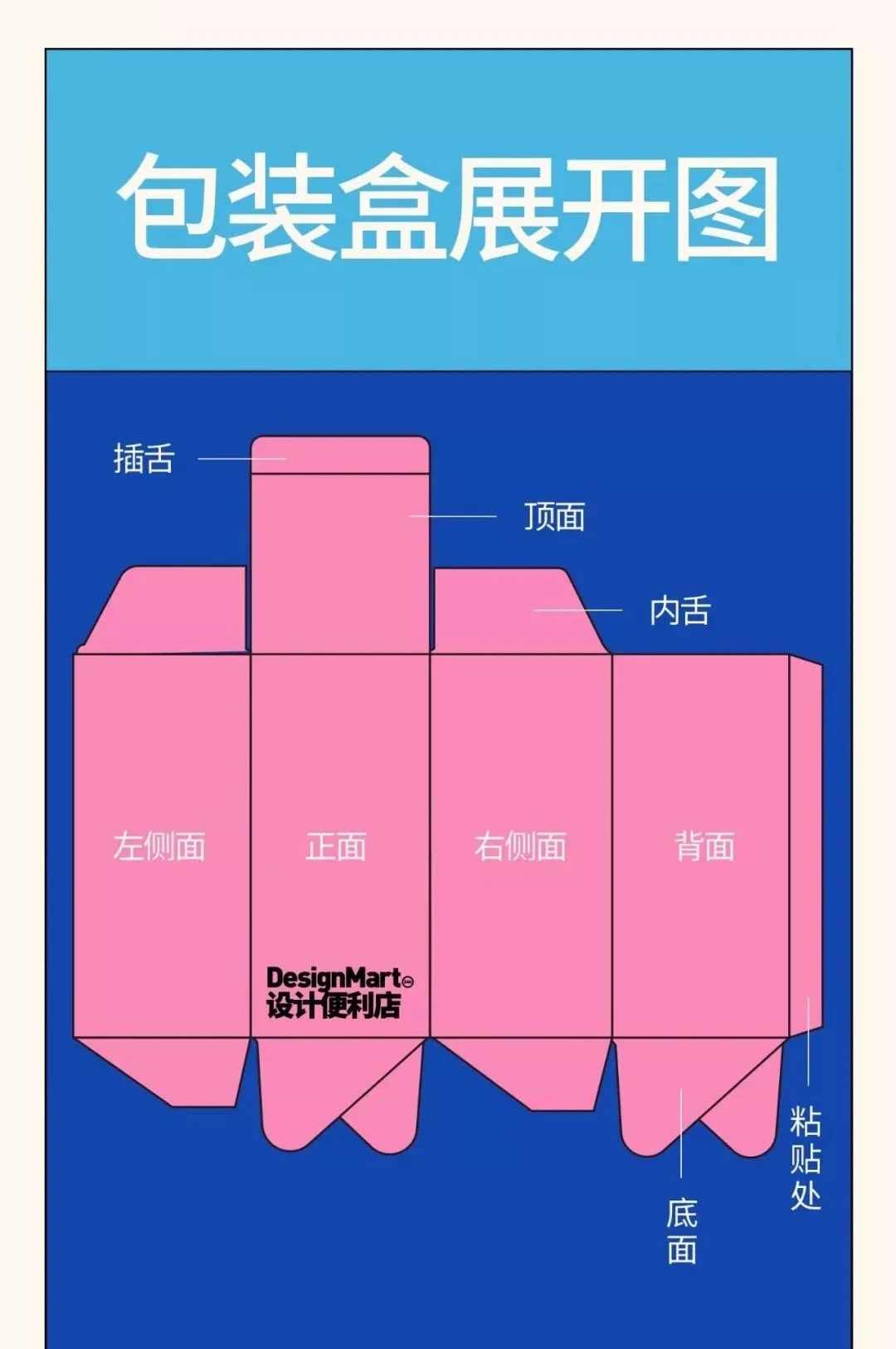 包装设计基础结构知识