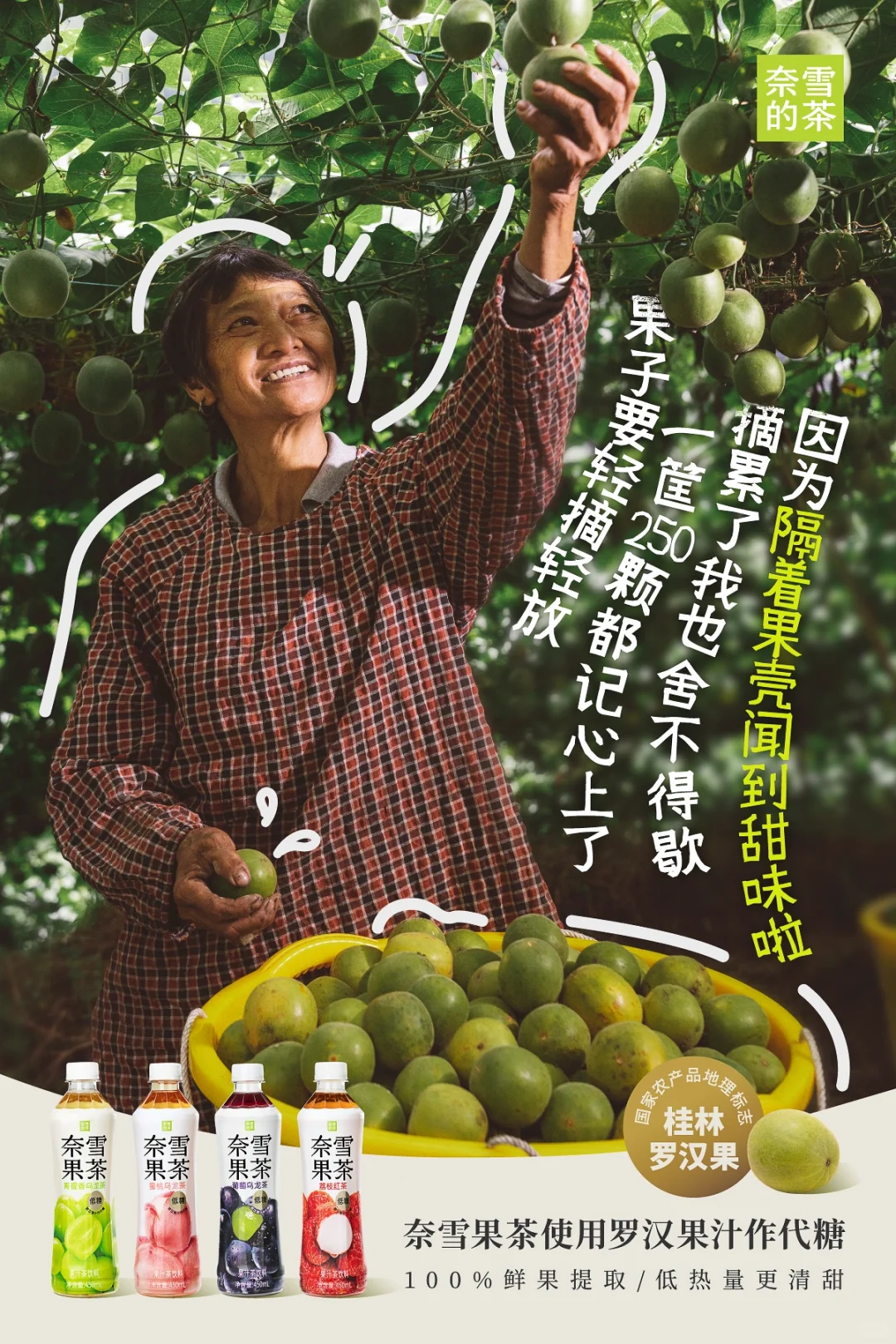 这瓶奈雪果茶,是他们种出来的