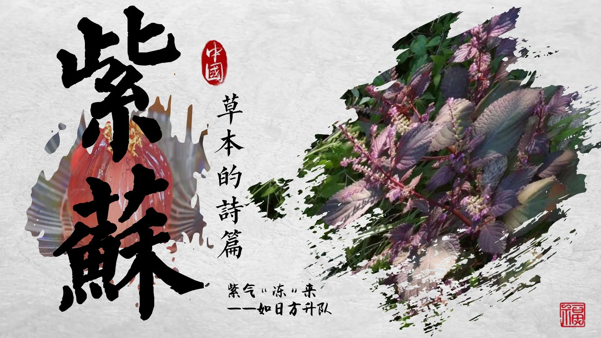 新型紫苏饮产品