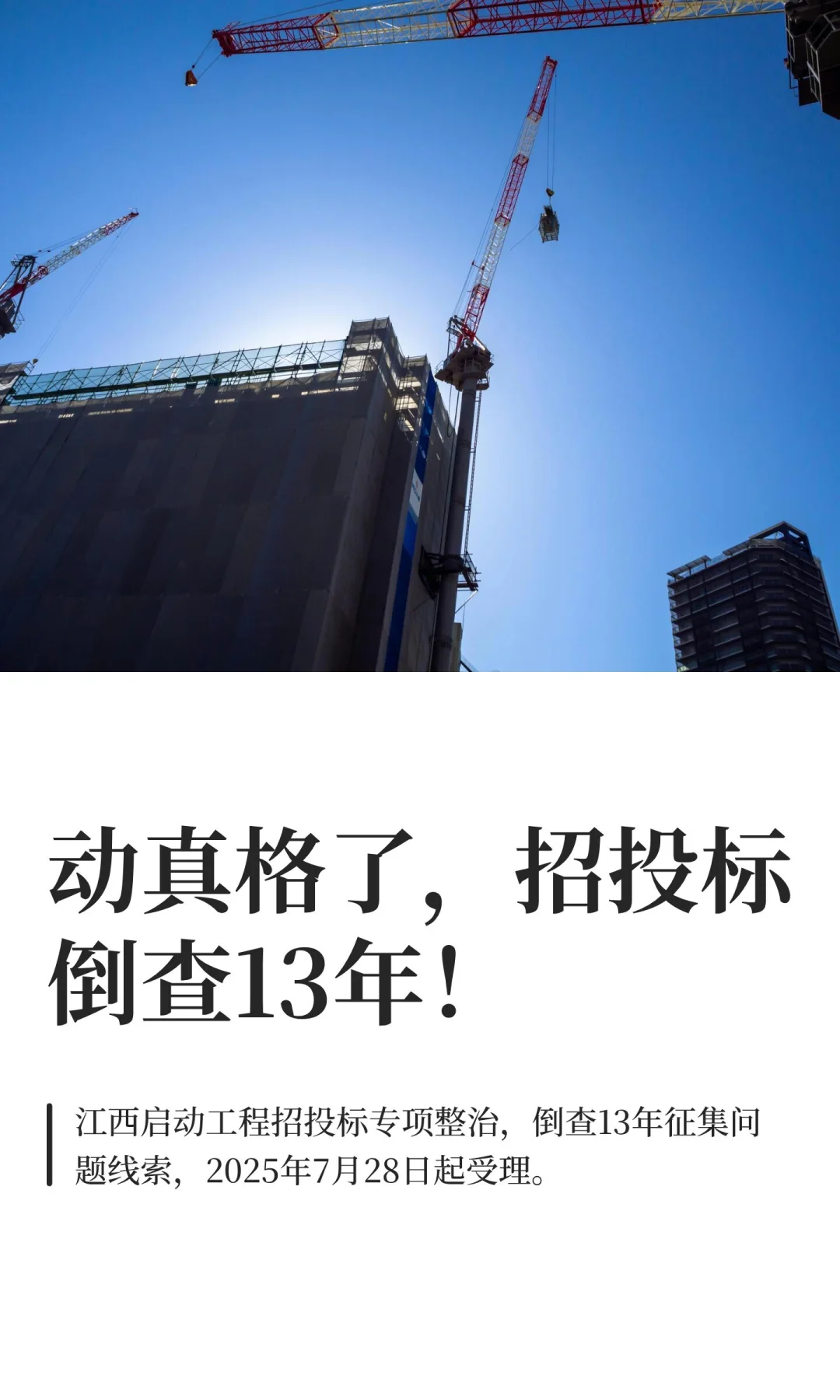 动真格了，招投标倒查13年！