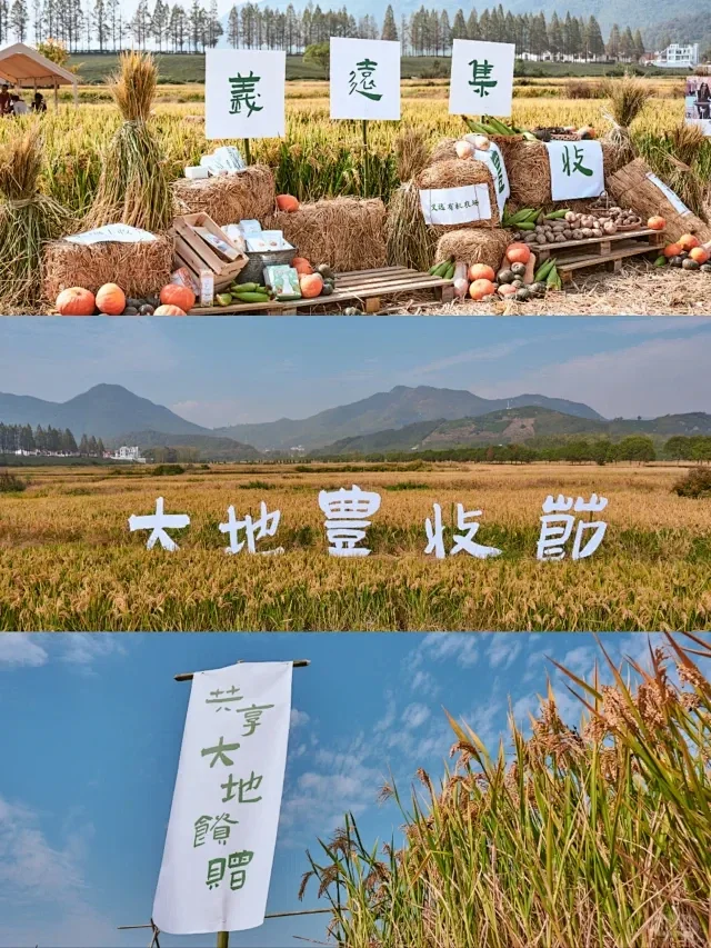 ?泽天策划：丰收节创意大揭秘！