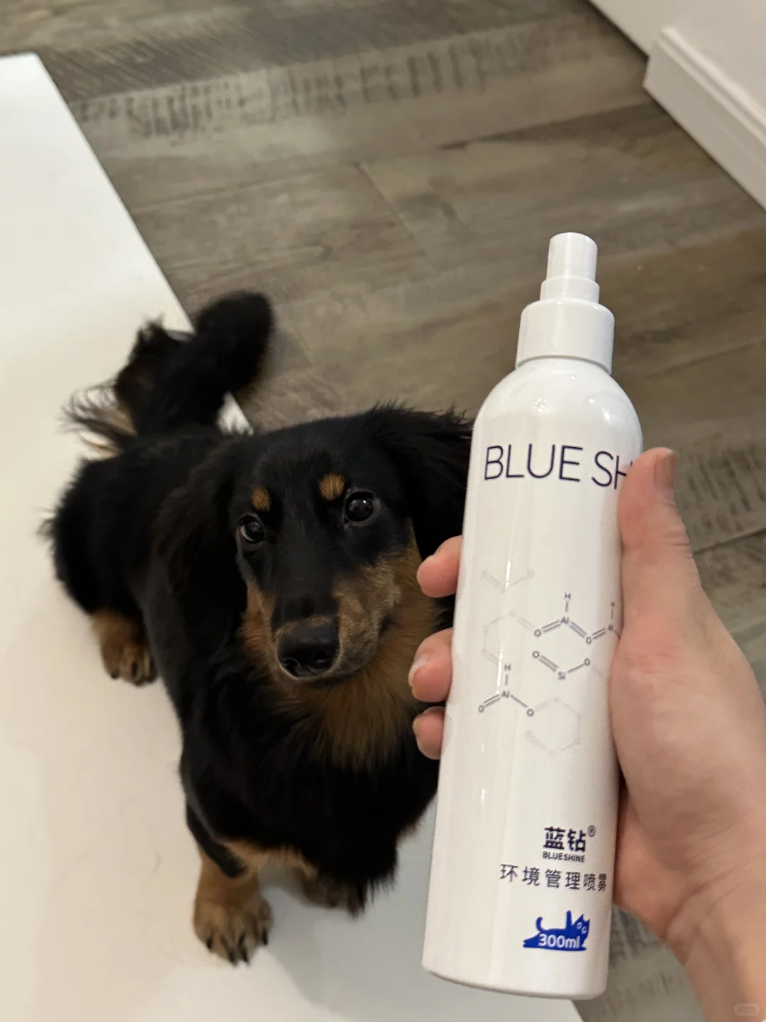 肠肠的环境管理