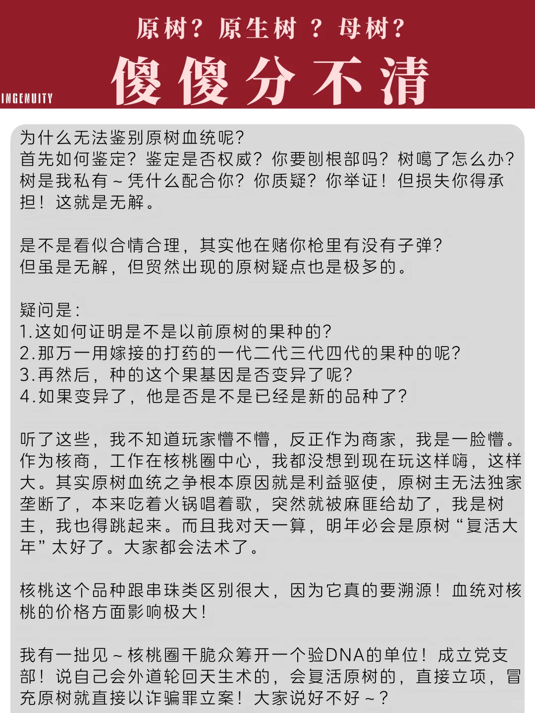 云收带您深入解析文玩核桃那些事儿