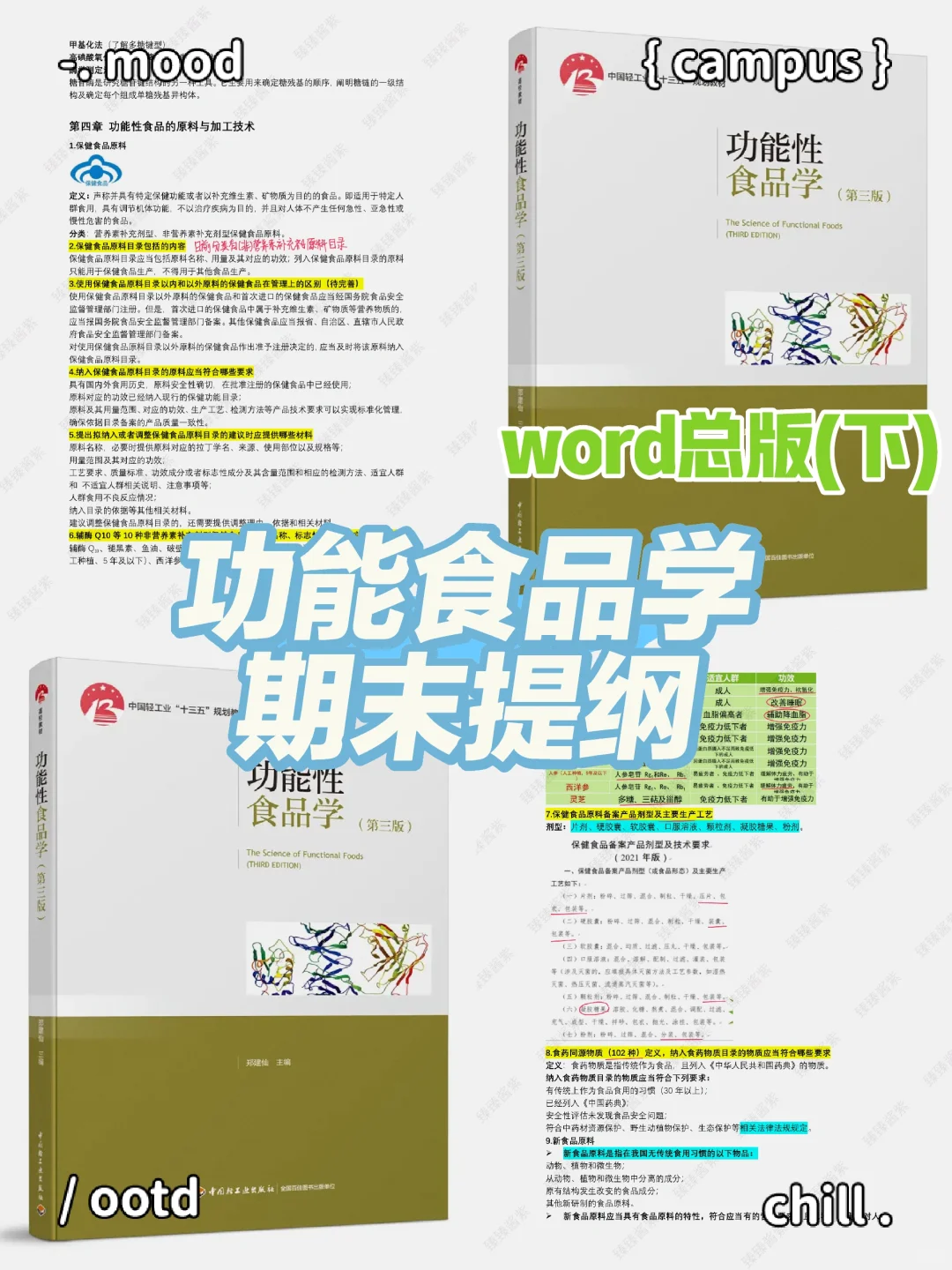 食品功能学｜word总版(下)