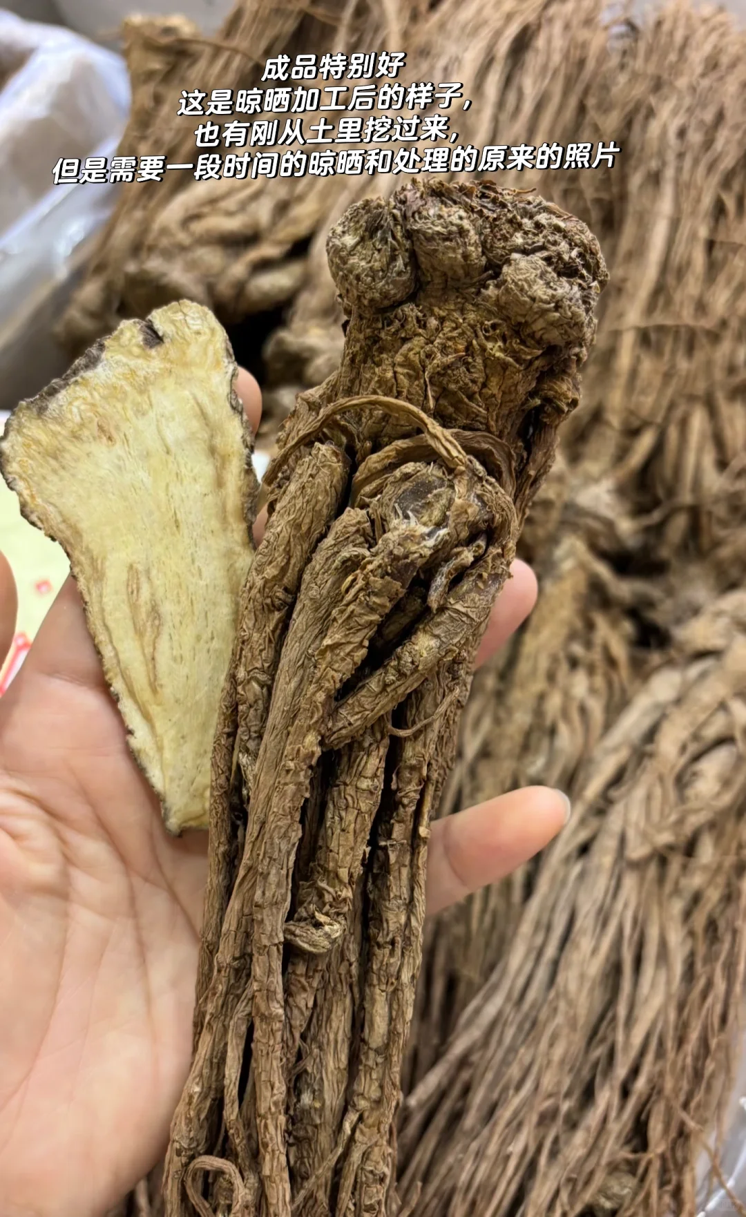 有谁需要土生土长的中药材 甘肃党参黄芪