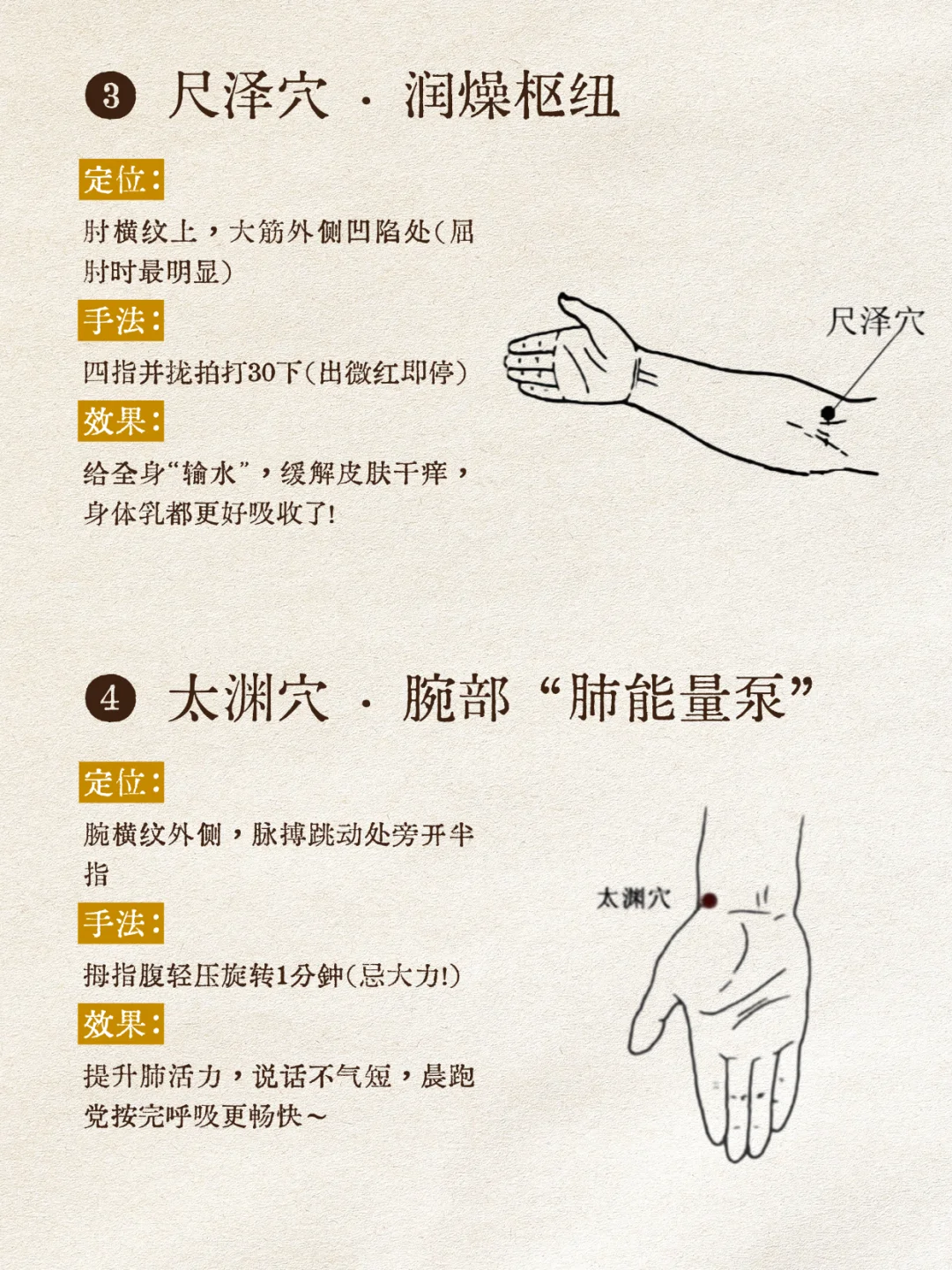 中医：人体自带养肺穴