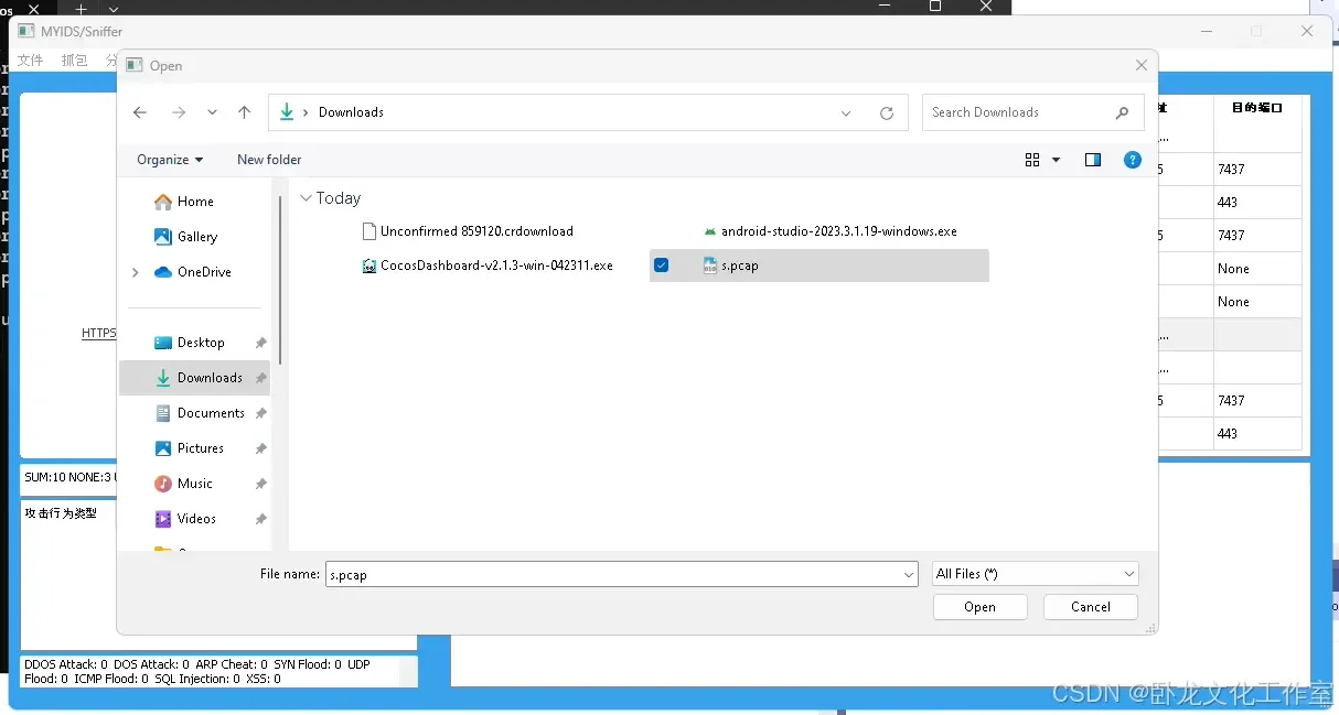 入侵恶意流量(源码+lw+部署文档+讲解等)