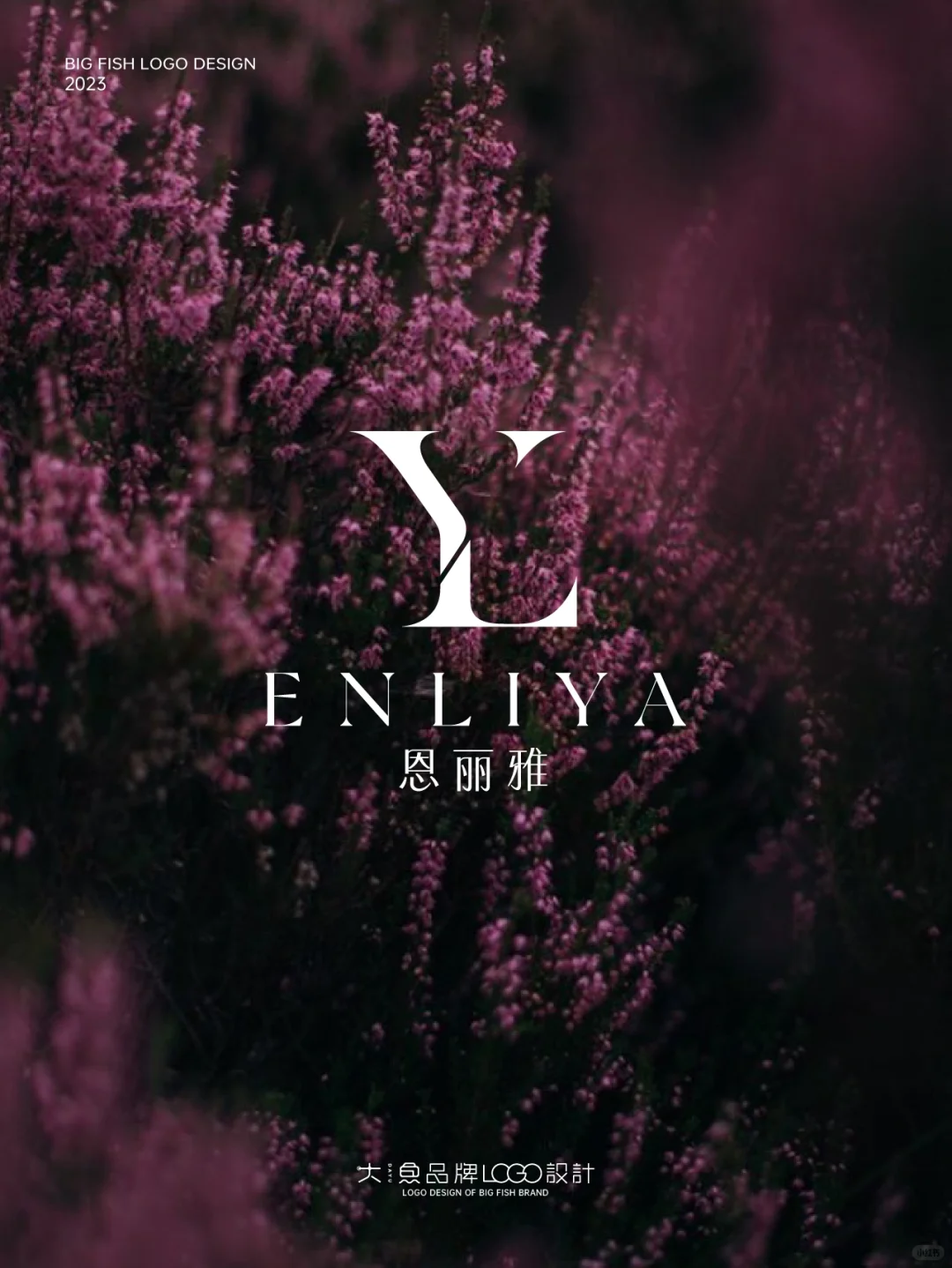 高级感的LOGO让我涨粉过万!