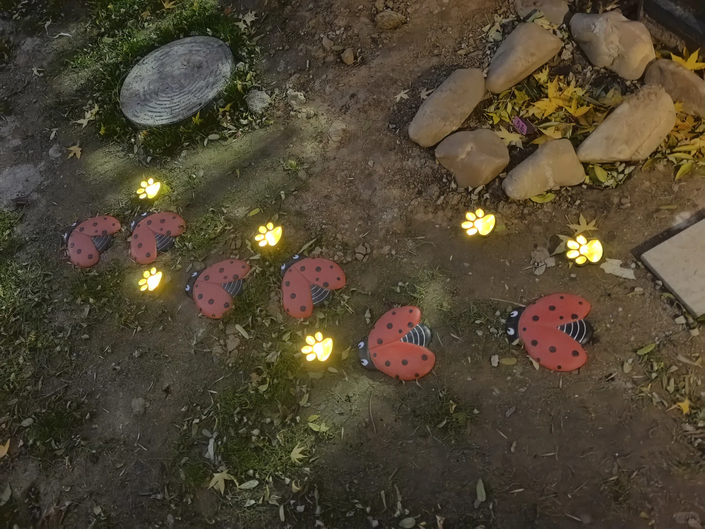 瓢虫?踏步和猫爪?太阳能灯